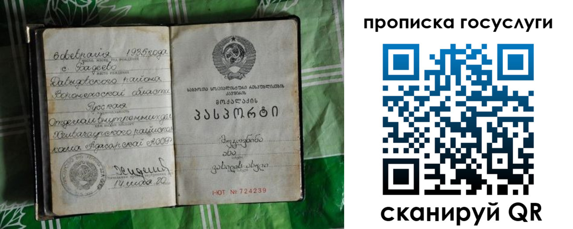 прописка паспорт в Новотроицке